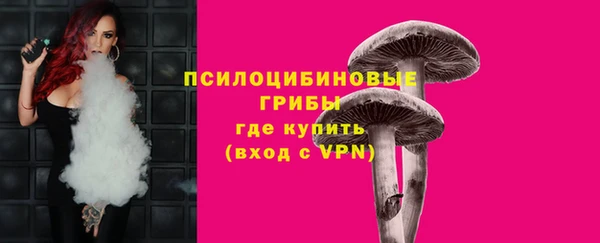 PSILOCYBIN Вязьма
