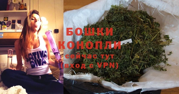мдпв Володарск