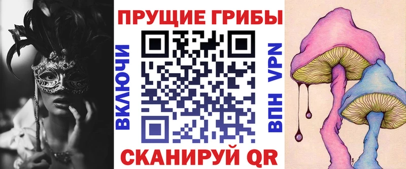 Купить где  Никольское  Псилоцибиновые грибы Cubensis 